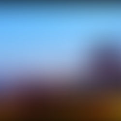 Longing for Community