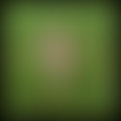 Pursuing Godliness with SSA