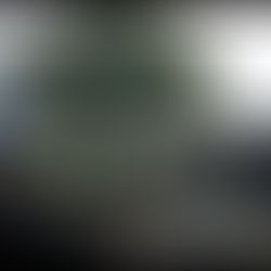 Accident at Hillcrest