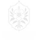 Rosado (3).png