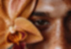 Insights blog intro image