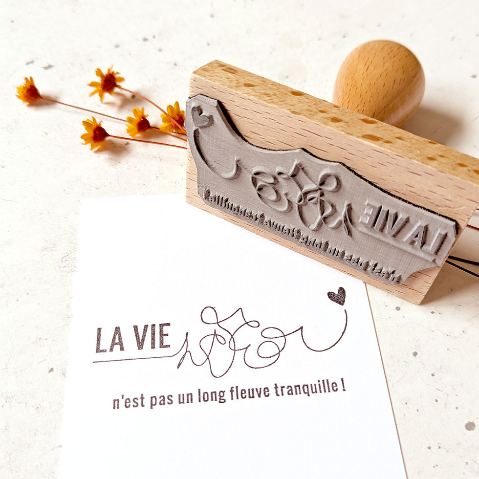 Miniature : La Vie n'est pas un Long Fleuve tranquille - Tampon Humour