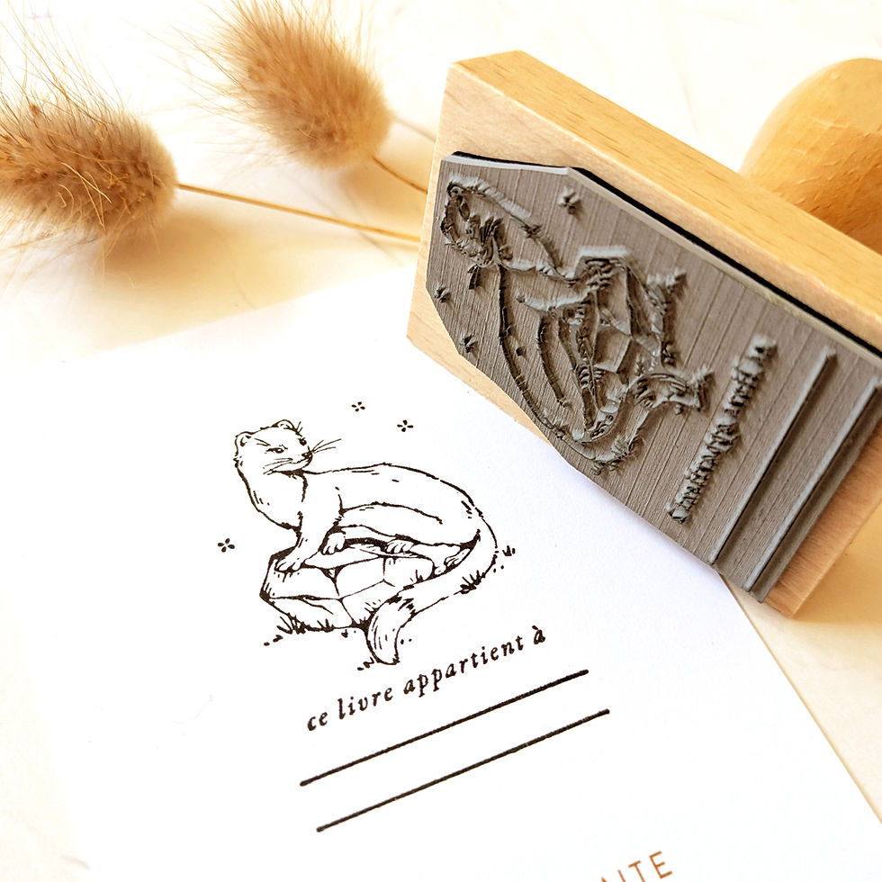 Miniature : Hermine de Bretagne 2 - Ex Libris vierge