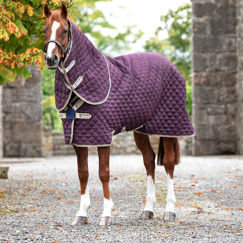 Amigo Stable Plus 200g Sweden Horse Rugs amigo-stable-plus-200g-sweden-horse-rugs