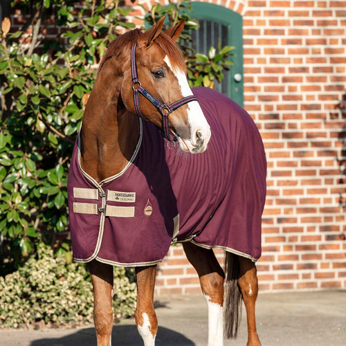 Amigo Stable Sheet Fig Sweden Horse Rugs