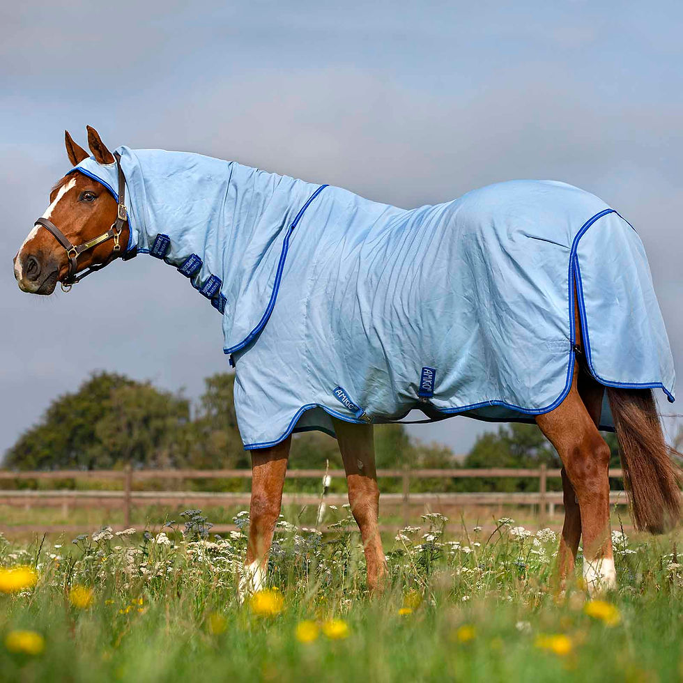 Miniatyrbild: Amigo Ripstop Hoody - azure blue