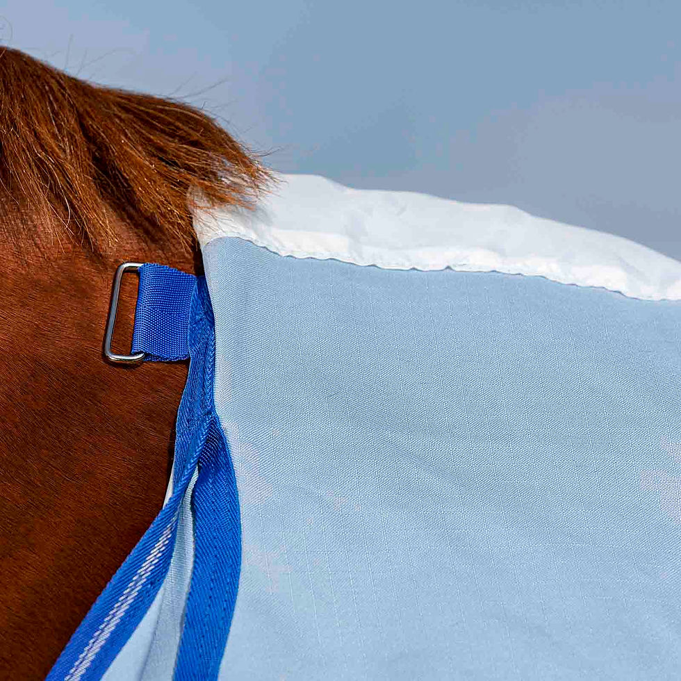 Miniatyrbild: Amigo Ripstop Hoody - azure blue