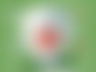 Is a VPN Worth It in 2026? (Pros and Cons)