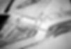 web-IMG_5599-BW.jpg