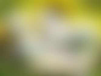 Heavenly Essence Natural