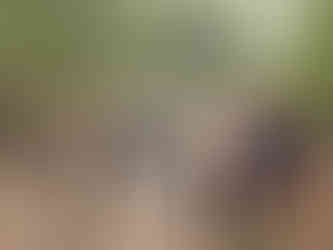 the team hanging around at the construction jam.