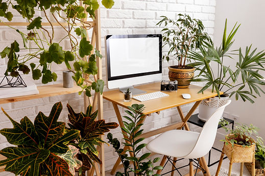 high-angle-interior-design-with-many-plants.jpg