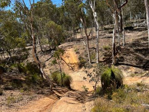 JULIMAR STATE FOREST 19/02/23