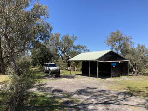 Moitch Overnight