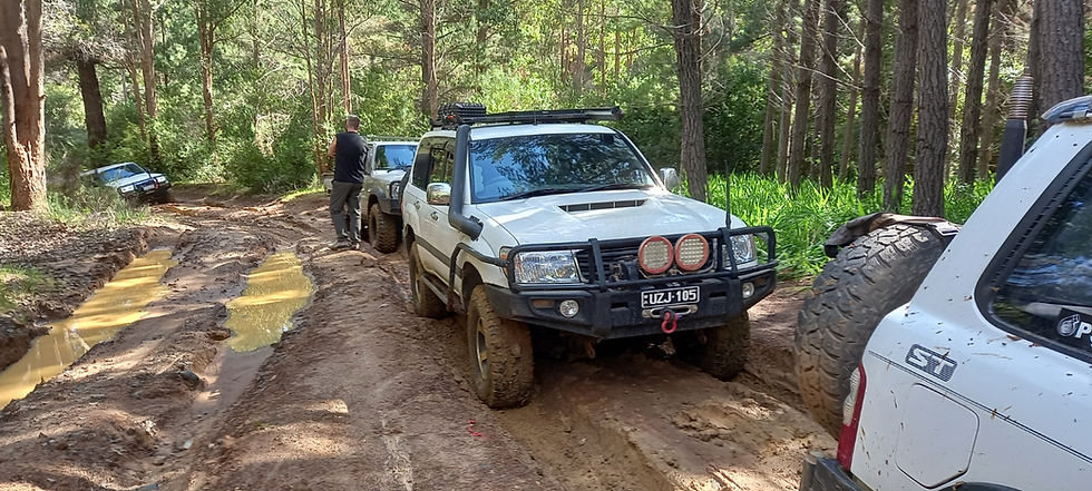 Harvey - and Some Mud