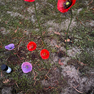 ANZAC Day in Karridale – Apr 2026