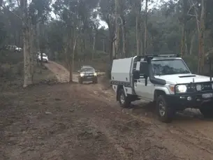 Mundaring in the Wet - Powerlines