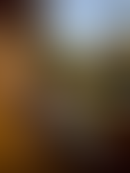 Patio at Wilderness Lodge with 2 chairs overlooking pool