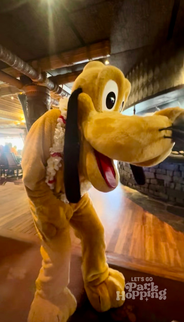 Pluto at 'Ohana