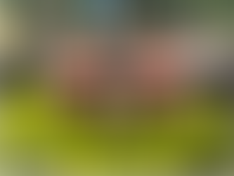 Animal Kingdom Baby Care Center Sign