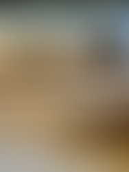 Stunning details on dresser at Animal Kingdom Lodge room