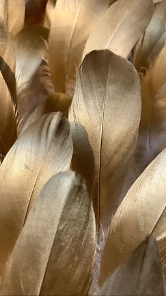 IMG-8020.jpeg