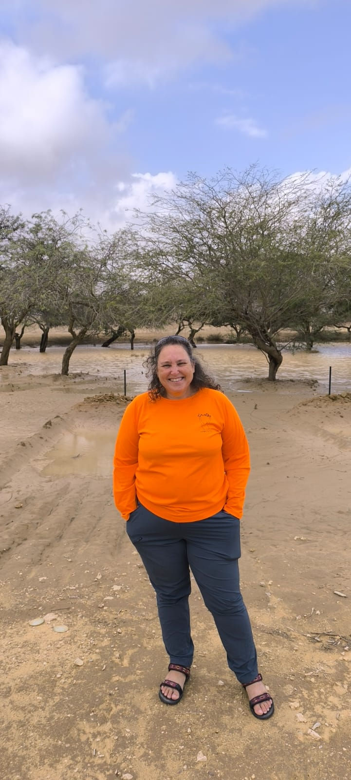 טיפה ועוד טיפה...