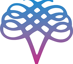 vidit logo.png