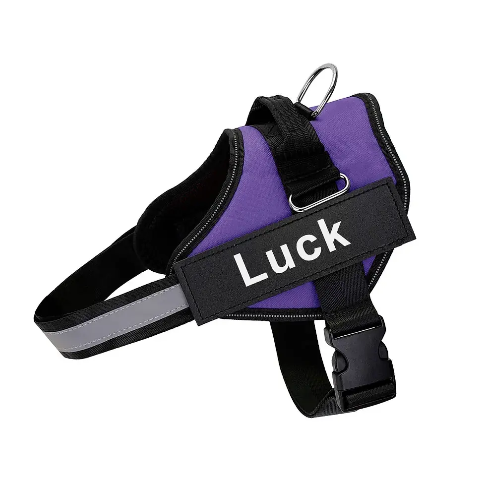 Miniatura: Reflective Adjustable Dog Harness – No Pull Vest with Custom ID Patch