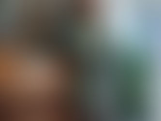 Views of Fall 11-23-25