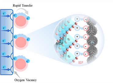 Graphical Abstract Image.tif