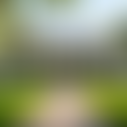 Smart Homeowner Debt Solutions: Smart Debt Consolidation Tips for Homeowners