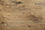 Texture du bois