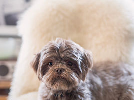 5 tips voor meer content inspiratie