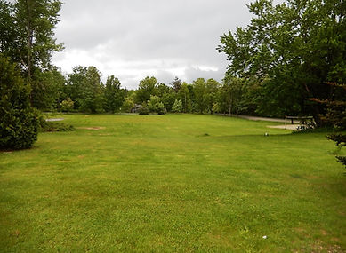 The Playfield