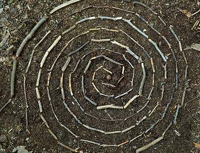 Spiral made of sticks on the forest floor