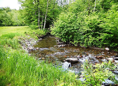 Stevensville Brooke