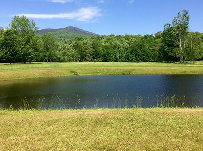 The Pond