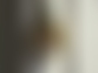 わびさび Wabi-sabi