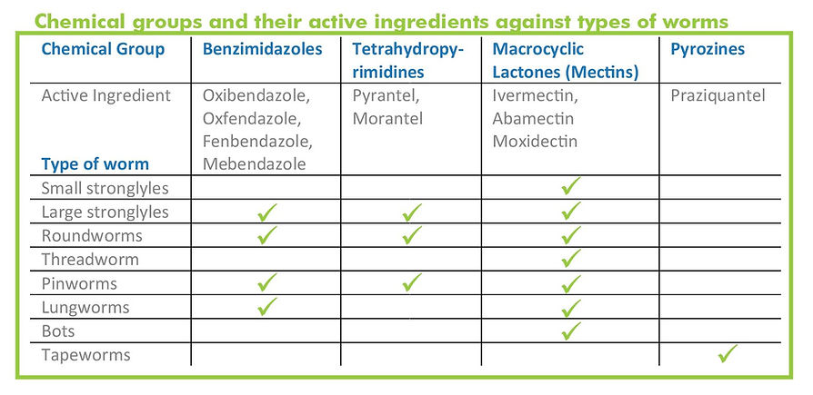 active-ingredients-in-worm-pastes.jpg