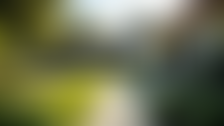 Investing in Real Estate: Your Path to Smart Property Success