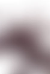 Shotgun Moves - The Best Kind.