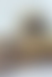 Semi-Sinless Soft Batch Cookies!