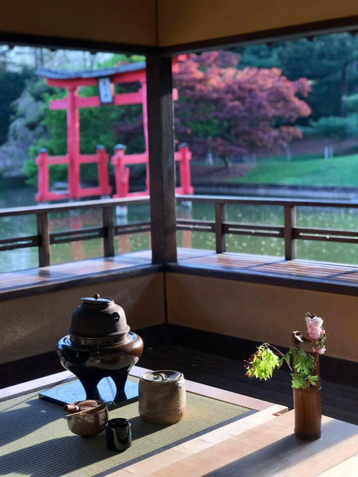 Tea ceremony at the view pavilion in the Brooklyn botanic garden. All of us had tranquil moment with beautiful breeze and view. Tea bowls “ せせらぎ” and Mizusashi (water container) —made by Sawami Aoko Tea —Organic matcha “Heisei no Mukashi” 平成の昔 Sweets —- Purple yam “ Hana no yoi” 花の宵 made by myself Tea scoop — Daitokuji Zuiho-in Shodo Maeda “Mio Tsukushi” 澪標 Tea stage — designed by Globus Washitsu. Made by Miya Shoji