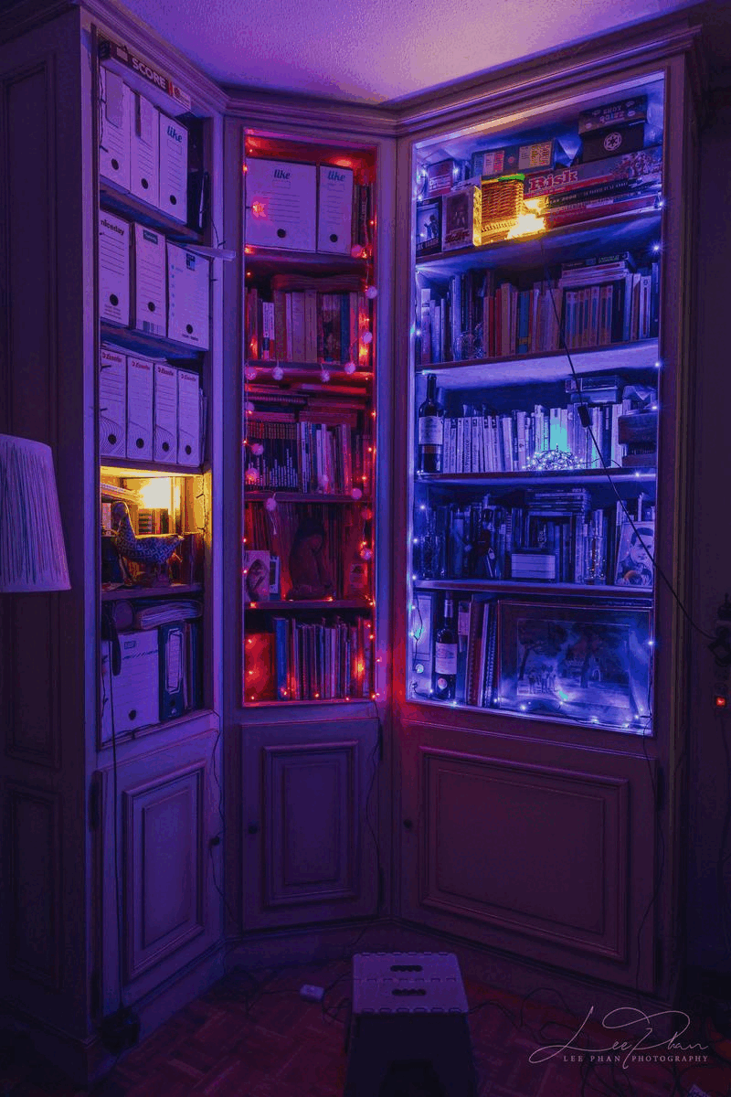 Bookshelf-11_motionV2.gif