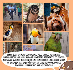 Asas e Amigos2.jpg