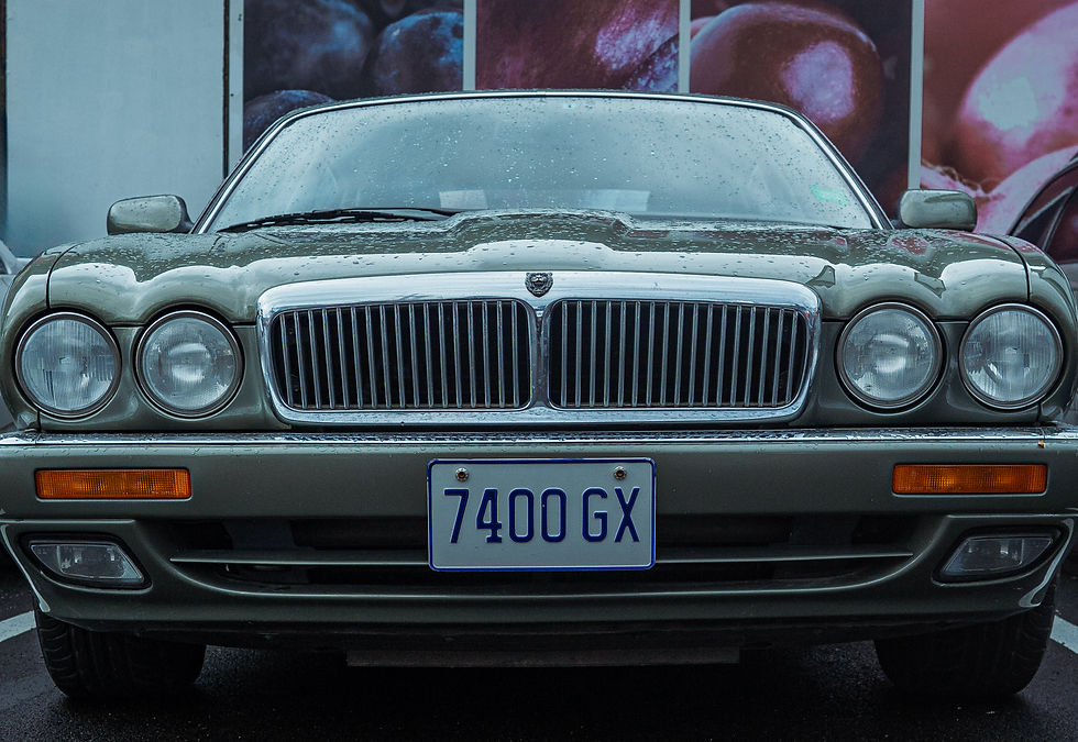 Grilll wide (1 of 1)
