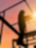 Construction Workers at Sunrise