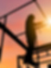 Construction Workers at Sunrise