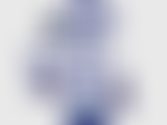 引っ越してきました